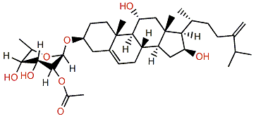 Crassarosteroside A